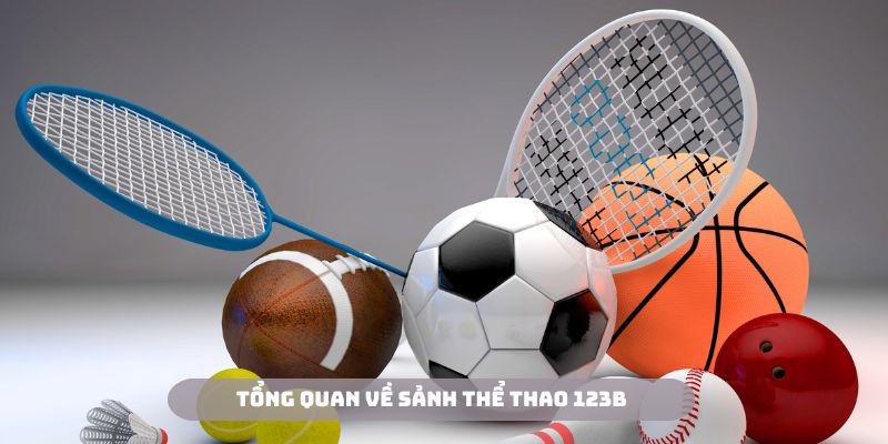 Thể thao 123B mang đến thế giới cá cược hấp dẫn